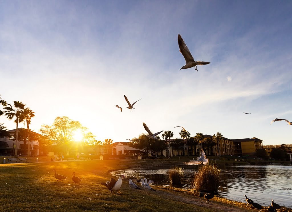 investimento imobiliário em Winter Park